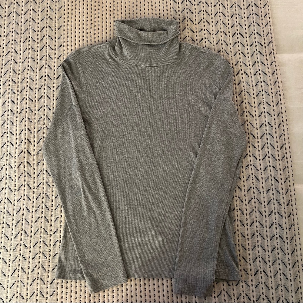 Everlane Pima Microrib Turtleneck, Grey, M